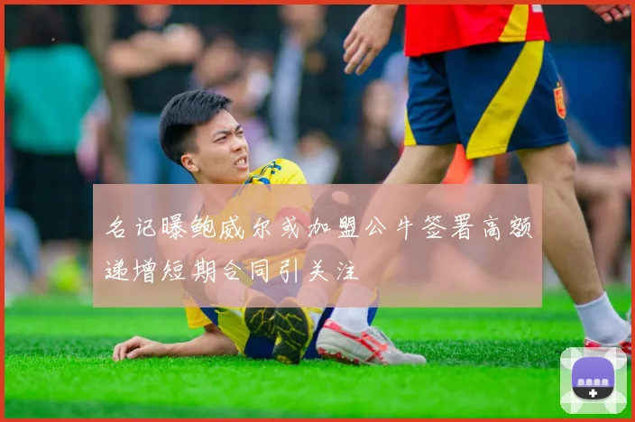 名记曝鲍威尔或加盟公牛签署高额递增短期合同引关注